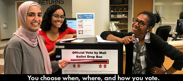 CA Votes VCA landing image